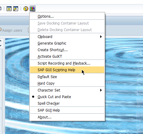 SAP GUI Scripting的基本设置
